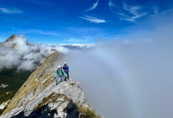 9 newsletter foto