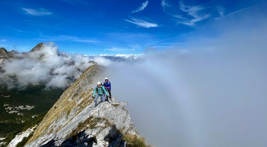 9 newsletter foto